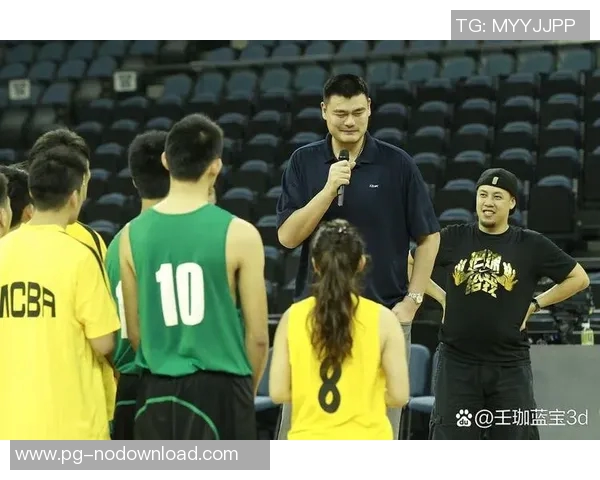 姚明对大致的深刻理解与启示在篮球与人生中的重要性探讨